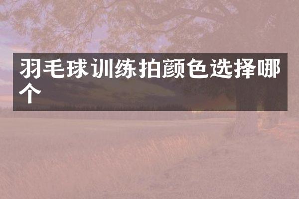 羽毛球训练拍颜色选择哪个