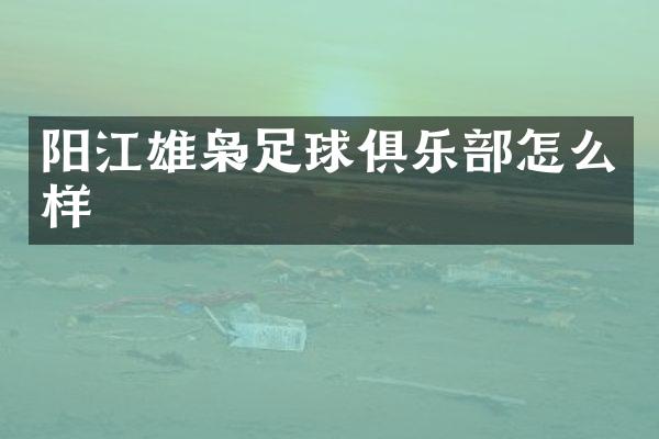 阳江雄枭足球俱乐部怎么样