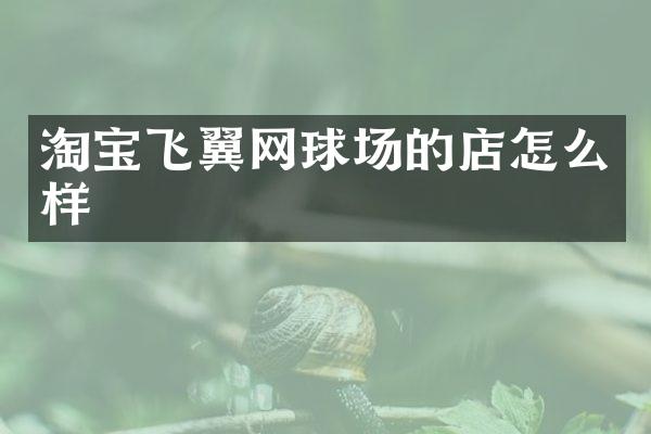 淘宝飞翼网球场的店怎么样