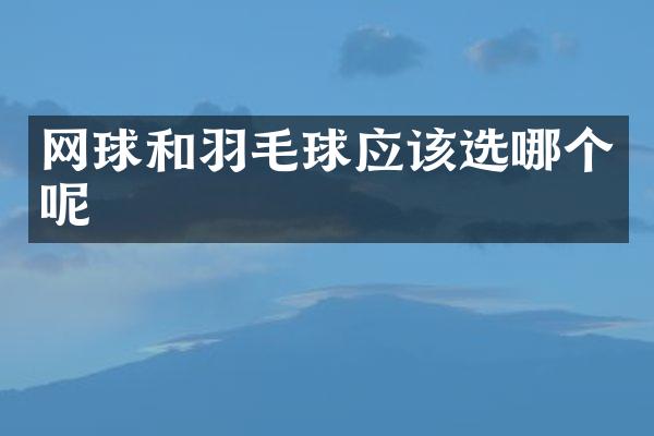 网球和羽毛球应该选哪个呢