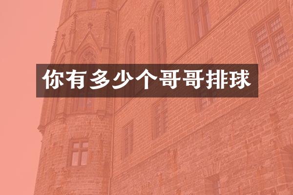 你有多少个哥哥排球