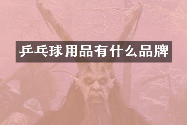 乒乓球用品有什么品牌