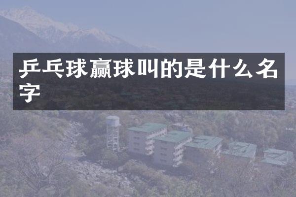 乒乓球赢球叫的是什么名字