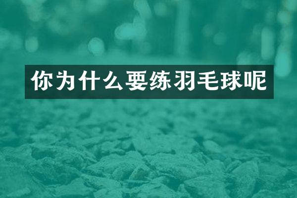 你为什么羽毛球呢