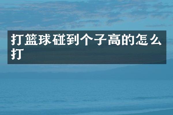 打篮球碰到个子高的怎么打