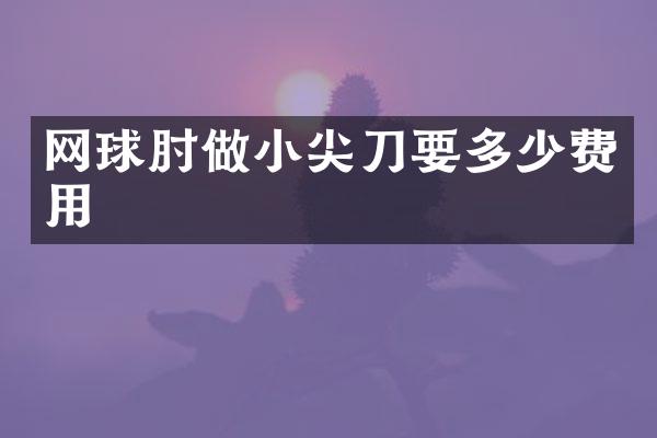 网球肘做小尖刀要多少费用