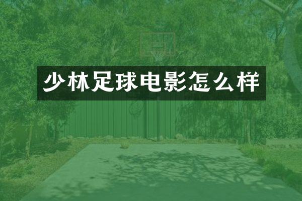 少林足球电影怎么样