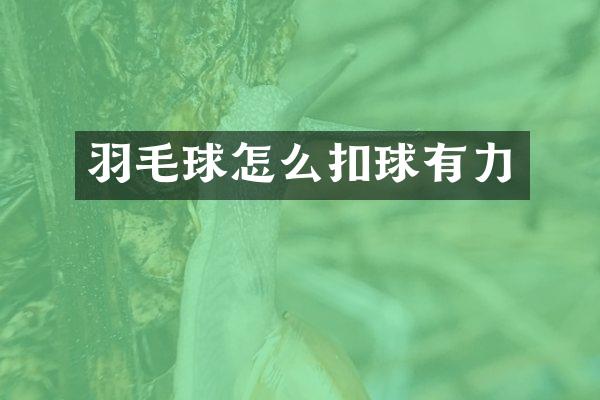 羽毛球怎么扣球有力