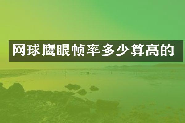 网球鹰眼帧率多少算高的