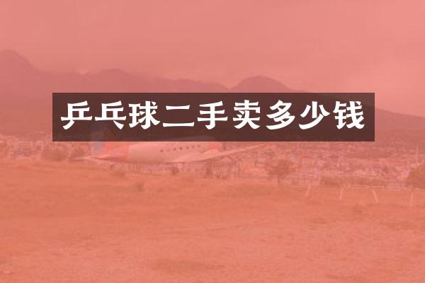 乒乓球二手卖多少钱
