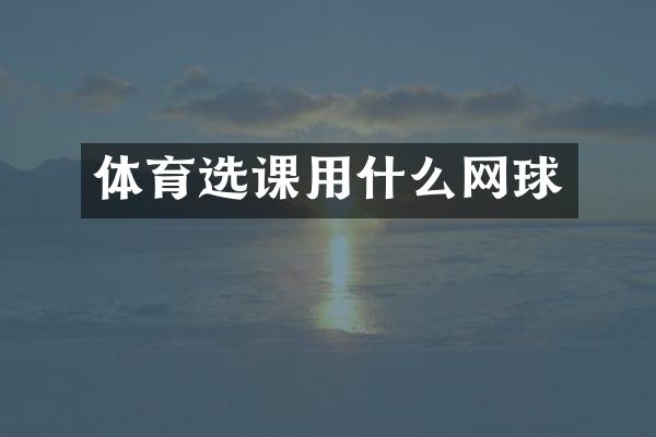 体育选课用什么网球