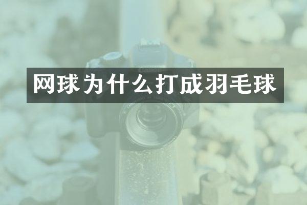 网球为什么打成羽毛球