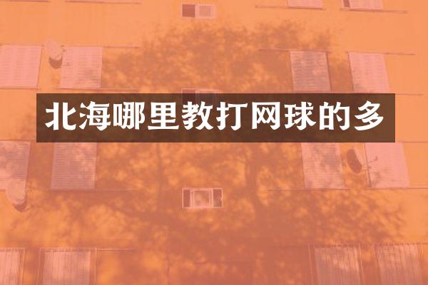 北海哪里教打网球的多