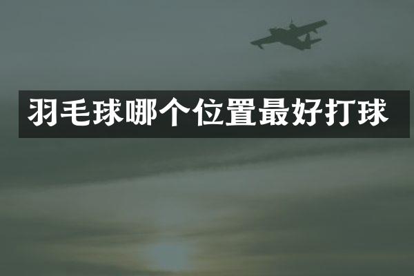 羽毛球哪个位置最好打球