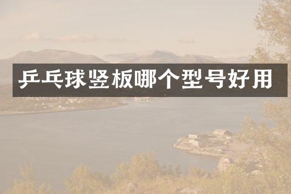 乒乓球竖板哪个型号好用