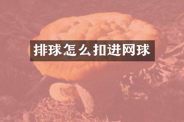 排球怎么扣进网球
