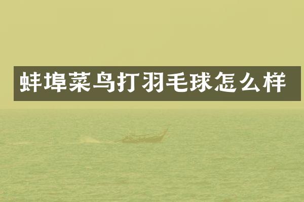 蚌埠菜鸟打羽毛球怎么样