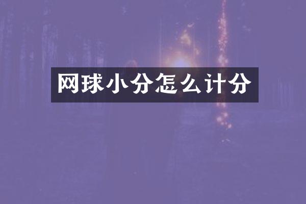 网球小分怎么计分