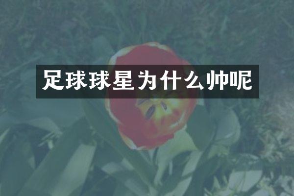 足球球星为什么帅呢
