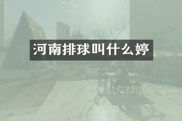 河南排球叫什么婷