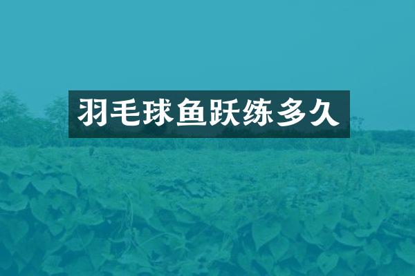 羽毛球鱼跃练多久