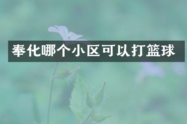 奉化哪个小区可以打篮球