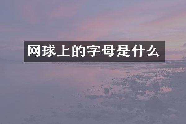 网球上的字母是什么