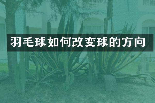 羽毛球如何改变球的方向