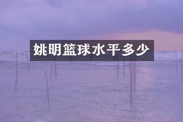 姚明篮球水平多少