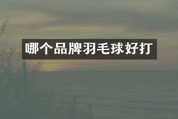 哪个品牌羽毛球好打