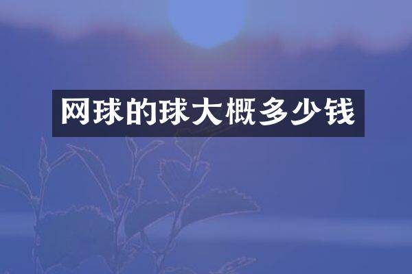 网球的球大概多少钱