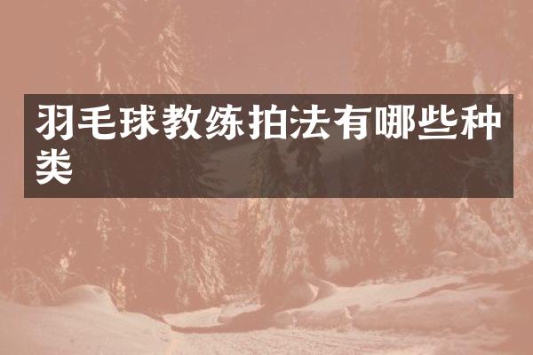 羽毛球教练拍法有哪些种类