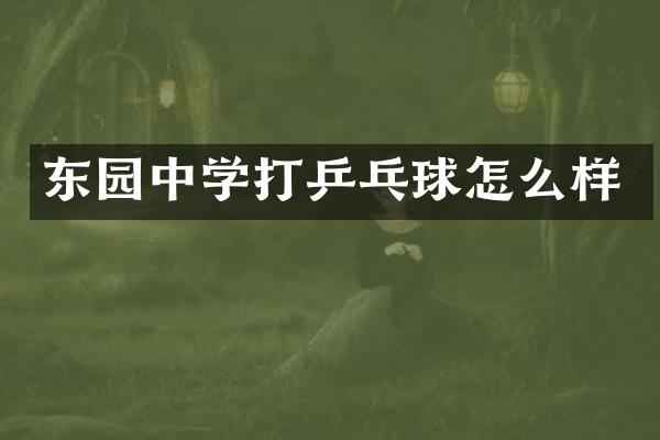 东园中学打乒乓球怎么样