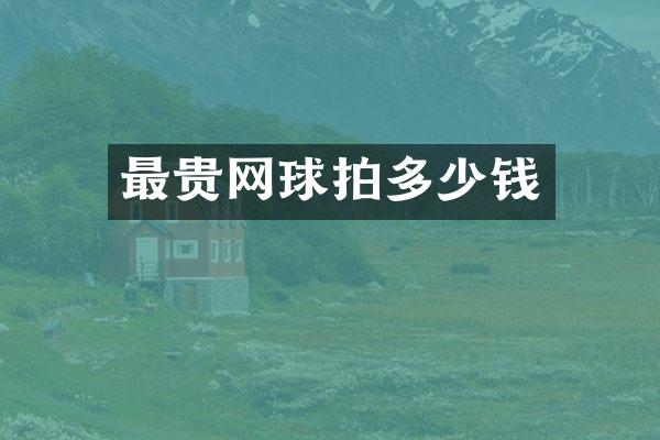 最贵网球拍多少钱