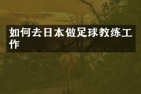 如何去日本做足球教练工作