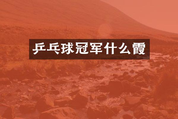 乒乓球冠军什么霞