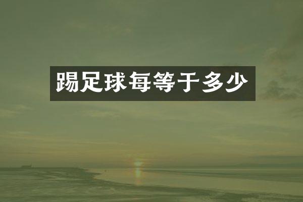 踢足球每等于多少