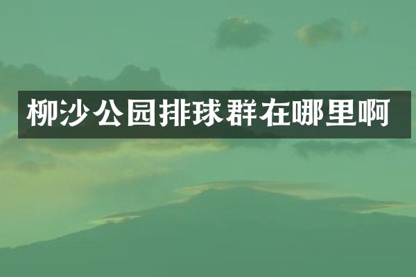 柳沙公园排球群在哪里啊
