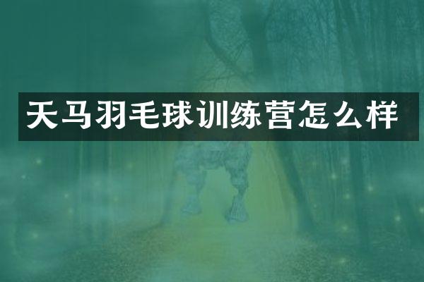 天马羽毛球训练营怎么样