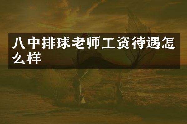 八中排球老师工资待遇怎么样
