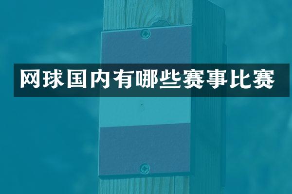 网球国内有哪些赛事比赛