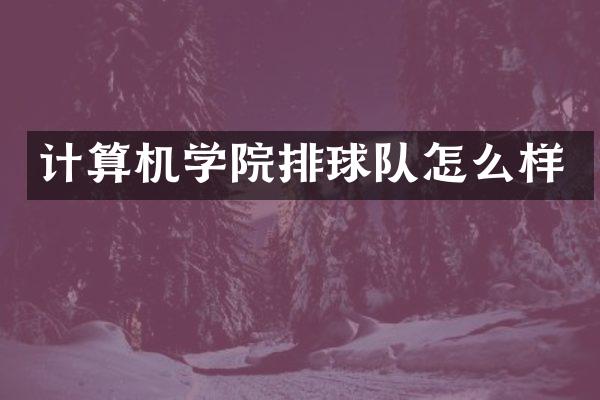 计算机学院排球队怎么样
