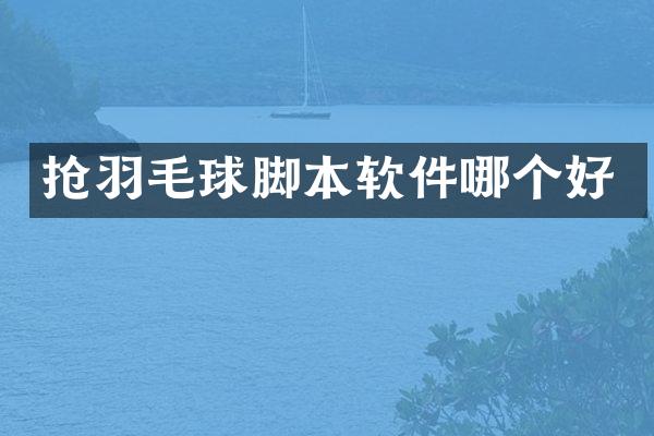 抢羽毛球脚本软件哪个好