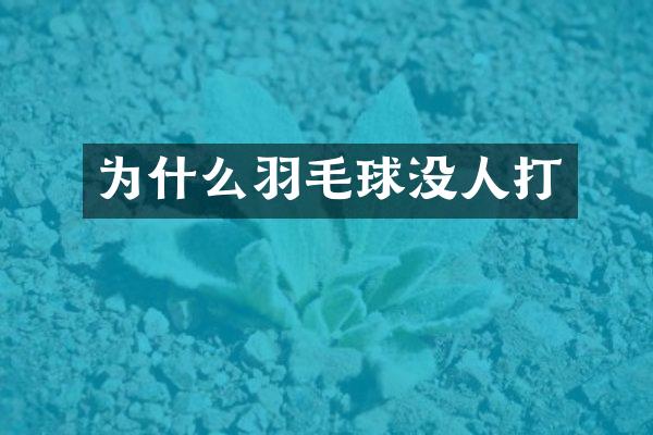 为什么羽毛球没人打