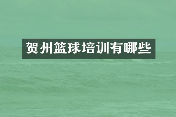 贺州篮球培训有哪些