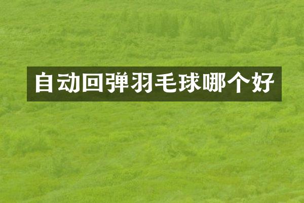 自动回弹羽毛球哪个好