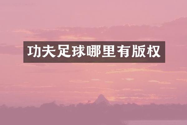 功夫足球哪里有版权