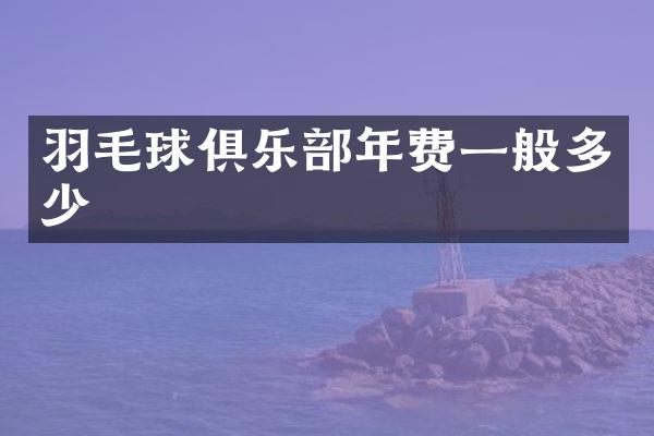 羽毛球俱乐部年费一般多少