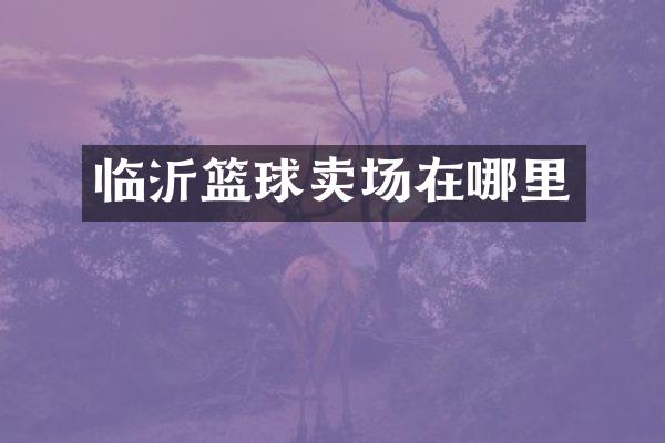 临沂篮球卖场在哪里