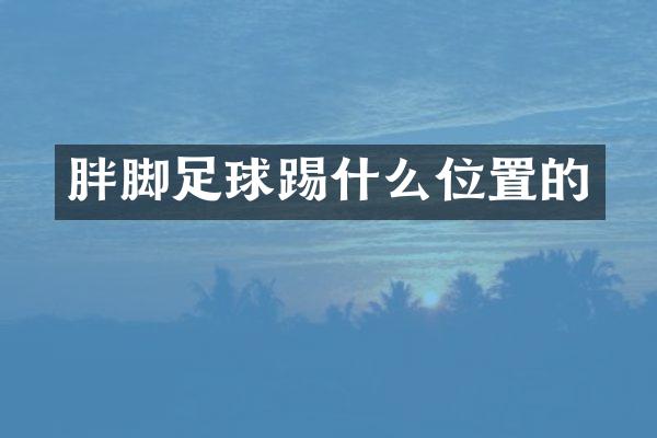 胖脚足球踢什么位置的